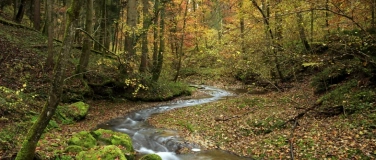 Event-Image for 'Fotokurs / Fotoworkshop "Golden Creek" im Tösstal'