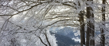 Event-Image for 'Fotokurs / Fotoworkshop "Zauber im Winter" im T&ouml;sstal'
