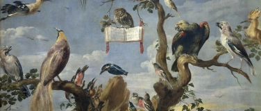 Event-Image for 'Konzert Vogelmusik'