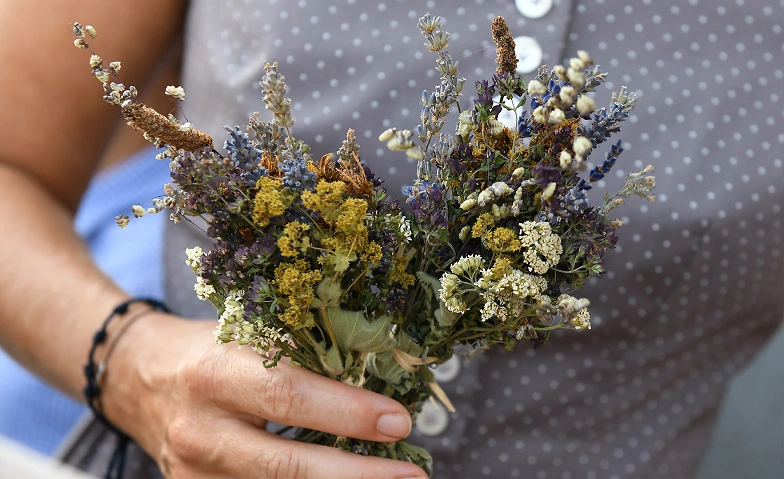 Event-Image for 'Stubeten mit Sp&auml;tlesemusikanten'