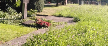 Event-Image for '5. Tag des Friedhofs'