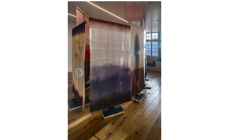 Event-Image for 'Ausstellung Gertrud Guyer Wyrsch - Verbindungen'
