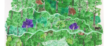 Event-Image for 'Durch die Dauerausstellung «Alles lebt»'