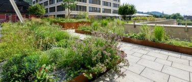 Event-Image for 'F&uuml;hrung durch die Gartenanlagen des Kantonsspitals St. Galle'