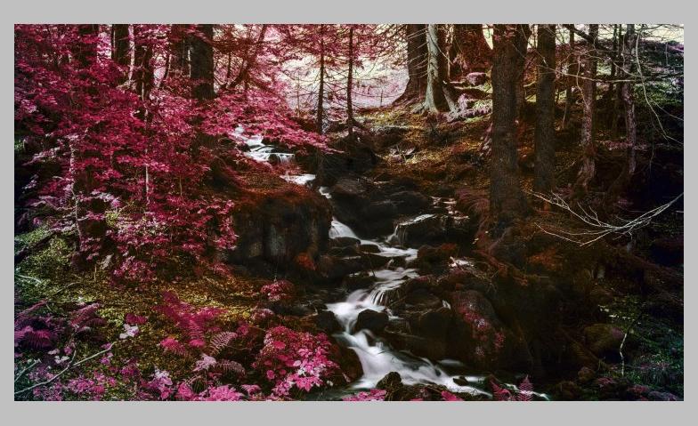 Event-Image for 'Wald. Pöschelibock, Waldteufel und Laubsack'