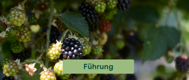 Event-Image for 'Paten-Tomaten, Beerenjuwelen und andere Seltenheiten'