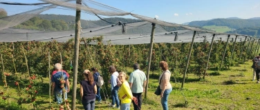 Event-Image for 'Obstanlagenbesichtigung und Degustation in Ormalingen'