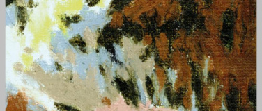 Event-Image for 'FumaroleLaura Schoch'