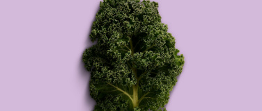 Event-Image for 'Future Foods'