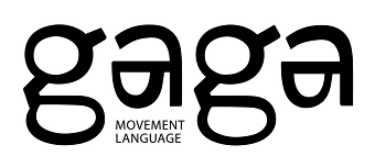Event organiser of GAGA /people class + dance rave