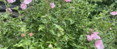 Event-Image for 'WER SIND DIE KLIMASENIORINNEN'