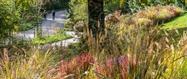 Event-Image for 'Montagsführung: Herbstspaziergang'