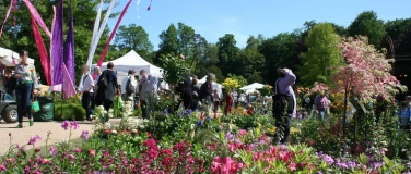 Event-Image for 'Gartenlust  in Schloss Dyck'