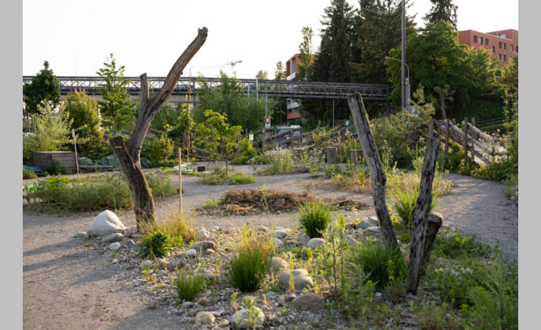 Event-Image for 'Gemeinsame Naturgartenpflege für Erwachsene'