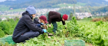 Event-Image for 'Lesung, Suppe und Diskussion'