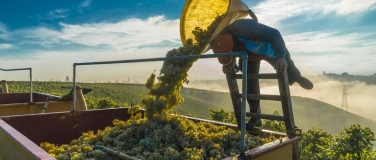 Event-Image for 'Masterclass Genfer Wein'