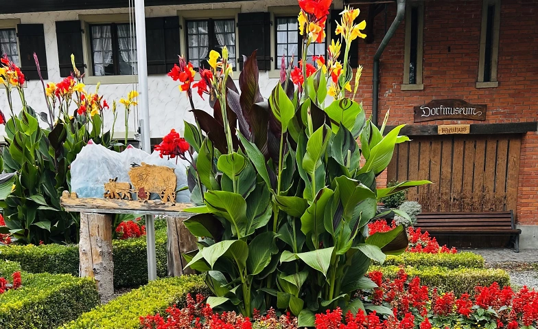 Kulturvielfalt - Genuss &amp; Kultur Billets