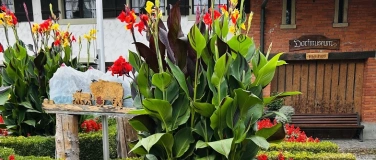 Event-Image for 'Kulturvielfalt - Genuss & Kultur'