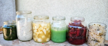 Event-Image for 'Fermentationswerkstatt - Mikrokultur trifft Stadtteikultur'