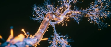 Event-Image for 'Infoabend Multiple Sklerose'