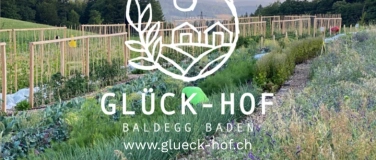 Event-Image for 'Glückstag auf dem Glück-Hof in Baldegg, Baden'