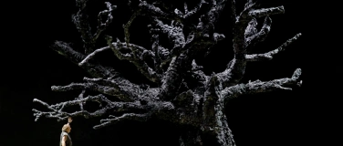 Event-Image for 'Royal Ballet & Opera: G&Ouml;TTERD&Auml;MMERUNG'