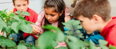Event-Image for 'Workshop: «Ab in den Schul- und Kitagarten, aber wie?»'