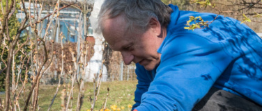 Event-Image for 'Gr&uuml;n statt Grau &ndash; naturnahe Pflege im Quartier'