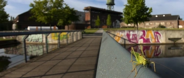 Event-Image for 'Potsdamer Naturfoto-Herbst: Wilder Ruhrpott'