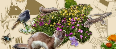 Event-Image for 'Ausstellung: Vernetzte Natur &ndash; Lebenswerte Stadt'