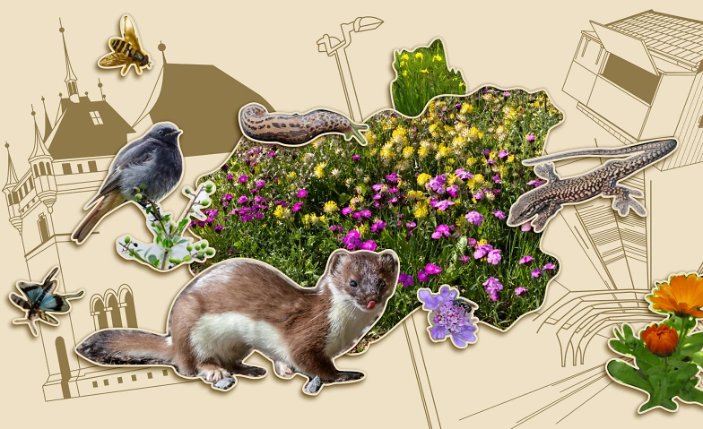 Event-Image for 'Ausstellung: Vernetzte Natur – Lebenswerte Stadt'