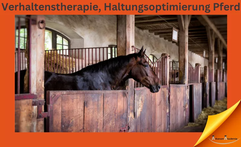 Verhaltenstherapie und Haltungsoptimierung Pferd ArkanumAkademie, Oberrindal 39, 9604 Oberrindal Billets