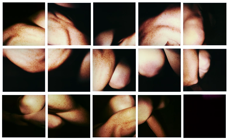 Event-Image for 'Sammlungsfieber und Hannah Villiger'