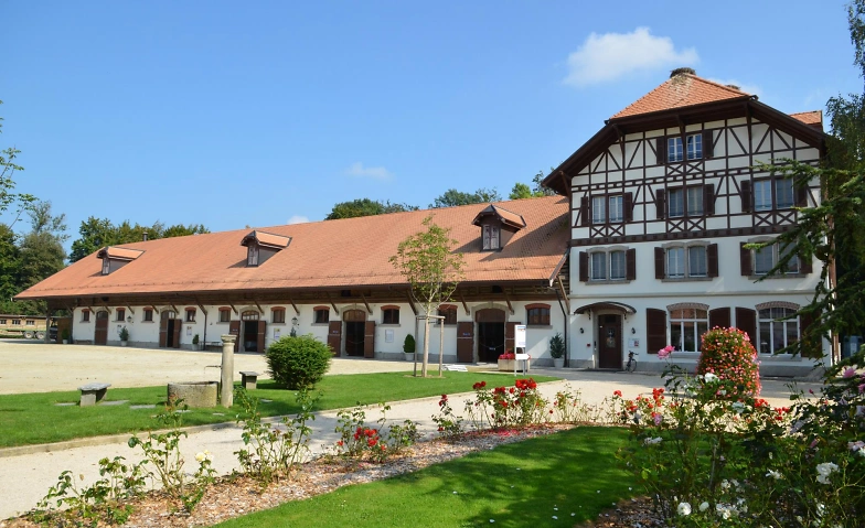 Event-Image for 'Le Haras national suisse, capitale du cheval au quotidien'