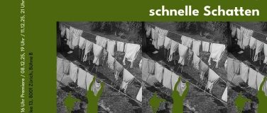 Event-Image for 'Schwalben, Schwärme, schnelle Schatten'
