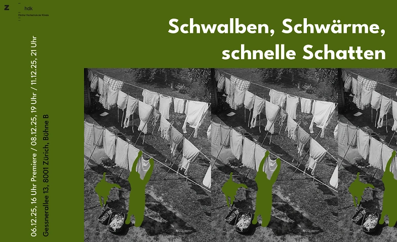 Event-Image for 'Schwalben, Schwärme, schnelle Schatten'