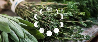 Event-Image for 'Healing Herbs - Journey of the Senses'