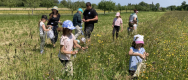 Event-Image for 'Heilbalsam rühren mit Kindern'