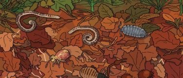 Event-Image for '28.Herbsttagung «Boden – das Universum unter unseren Füssen»'