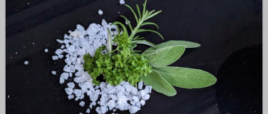 Event-Image for 'Hexenk&uuml;che im Garten Kr&auml;utersalze herstellen'