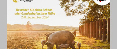 Event-Image for 'Hoftage 2024'