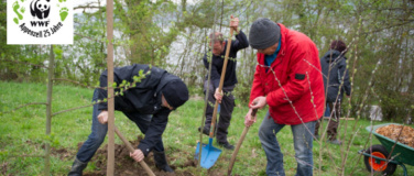 Event-Image for 'Hofwoche auf dem Permakulturhof Knechtle'