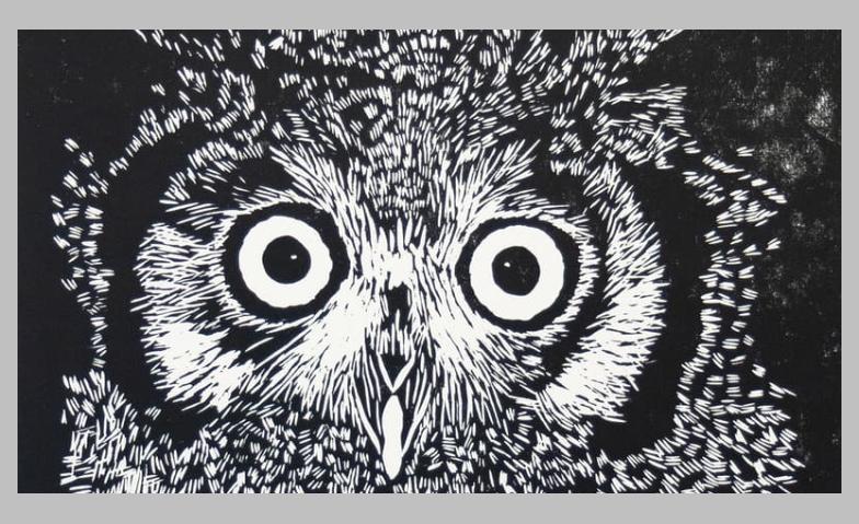 Event-Image for 'Holzschnittkurs'