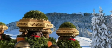 Event-Image for 'Schuppelzauren'