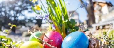 Event-Image for 'Oster-Brunch'