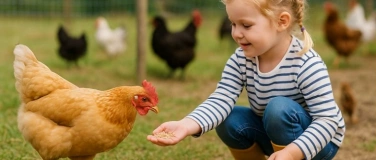 Event-Image for 'Sportferienprogramm - Hühner'