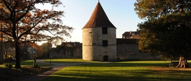 Event-Image for 'Öffentliche Stadtführung – „Entlang äusserer Stadtmauer“'