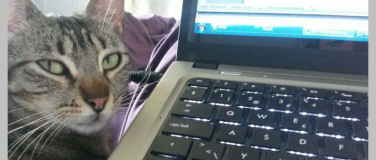 Event-Image for 'Ich-Zeit. Zwei Schreibmomente für mich'