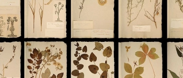 Event-Image for 'Vernissage: Die ganze Welt in einem Herbarium'