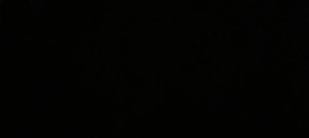 Veranstalter:in von Bal des tulipes essai 1